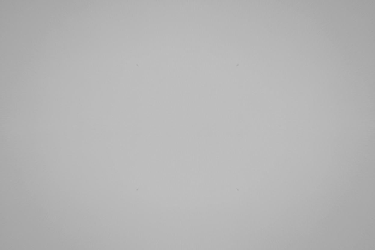 fond de couleur gris clair 